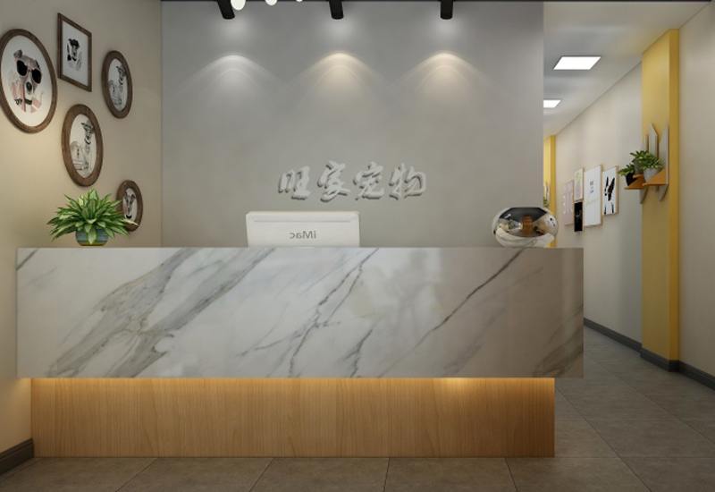 高新區(qū)寵物店裝修設計效果圖